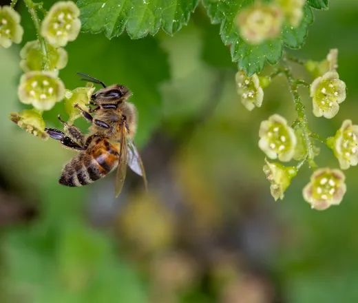 Environmental Education Classes at YMCA of the Fox Cities