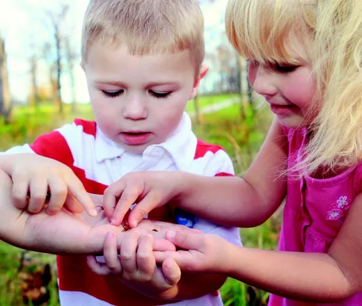 Learn about youth and family environmental education classes at YMCA of the Fox Cities.