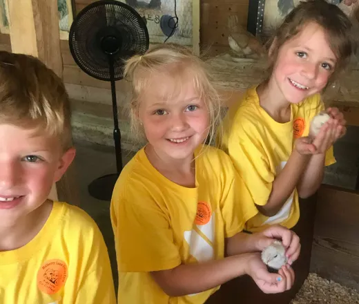 Fox West YMCA summer camps